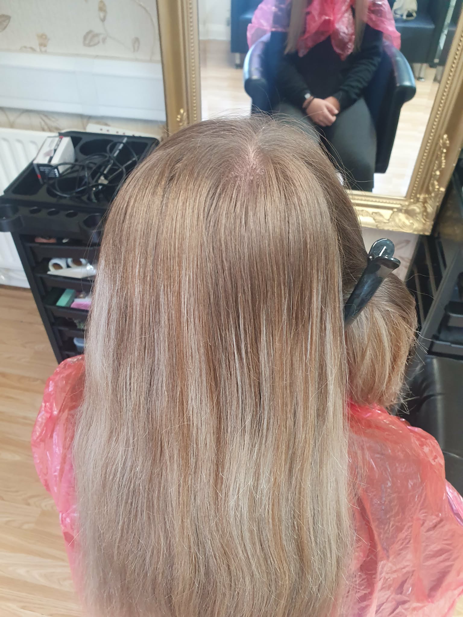 Hair before colouring